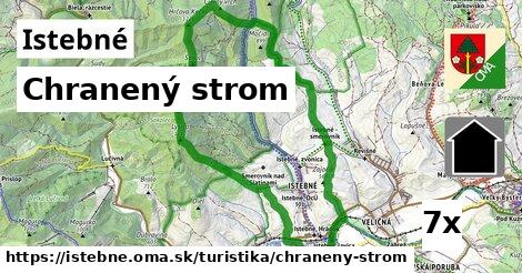 Chranený strom, Istebné