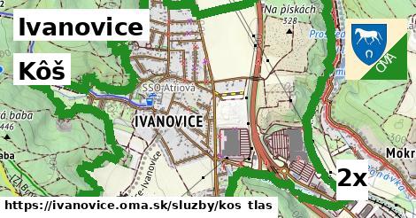 Kôš, Ivanovice