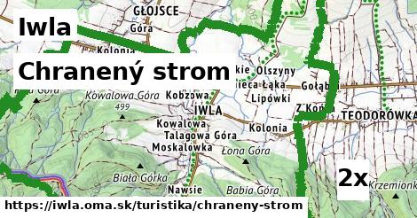 Chranený strom, Iwla