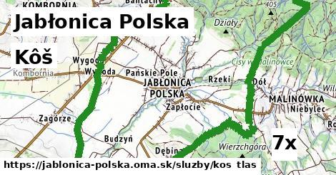 kôš v Jabłonica Polska