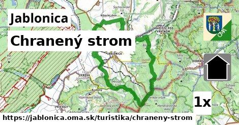 Chranený strom, Jablonica