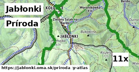 príroda v Jabłonki