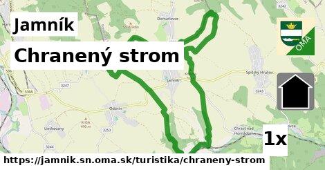 Chranený strom, Jamník, okres SN