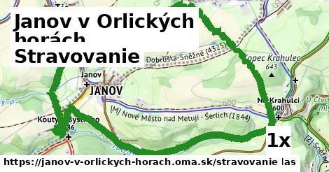 stravovanie v Janov v Orlických horách