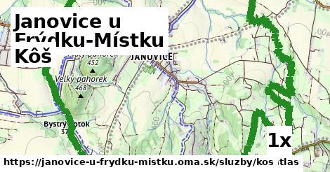Kôš, Janovice u Frýdku-Místku