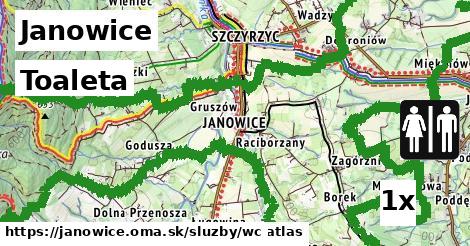 Toaleta, Janowice