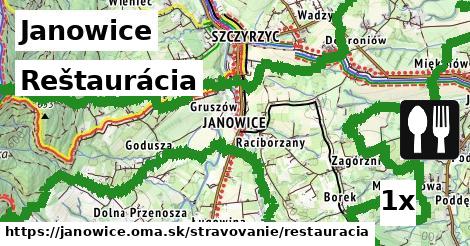 Reštaurácia, Janowice