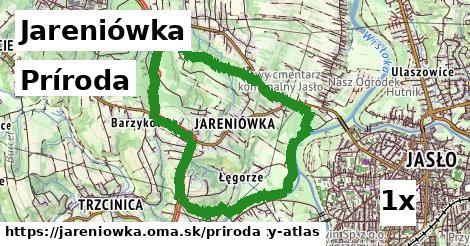 príroda v Jareniówka