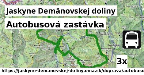 Autobusová zastávka, Jaskyne Demänovskej doliny