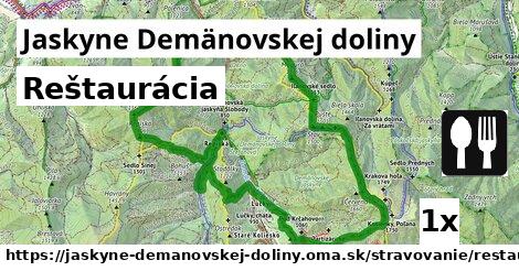 Reštaurácia, Jaskyne Demänovskej doliny