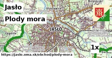 plody mora v Jasło