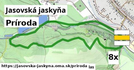 príroda v Jasovská jaskyňa