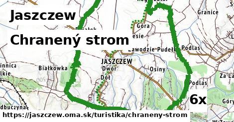 Chranený strom, Jaszczew