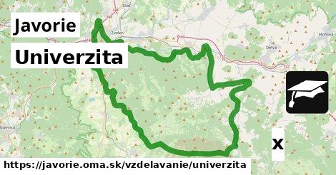 Univerzita, Javorie