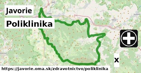 Poliklinika, Javorie