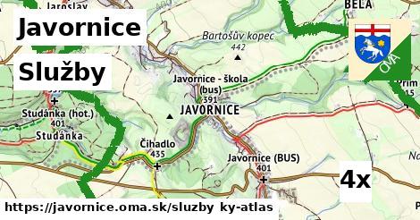 služby v Javornice