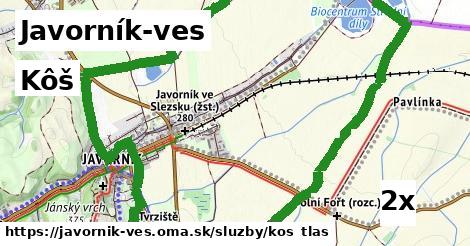 Kôš, Javorník-ves