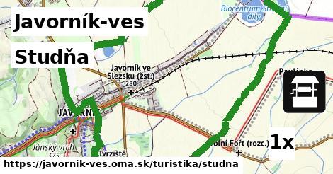 Studňa, Javorník-ves