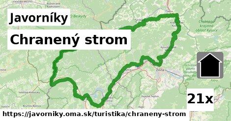 Chranený strom, Javorníky