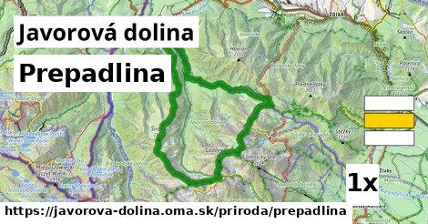 Prepadlina, Javorová dolina