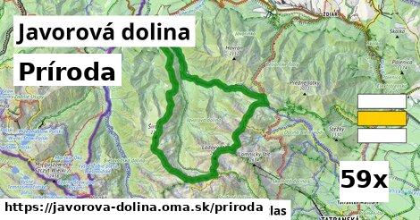 príroda v Javorová dolina