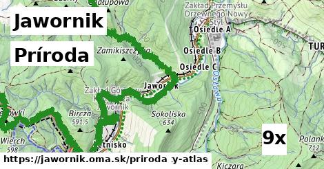 príroda v Jawornik