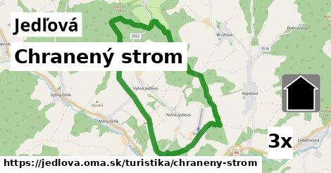 Chranený strom, Jedľová