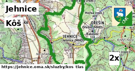 Kôš, Jehnice