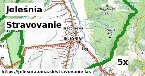 stravovanie v Jeleśnia