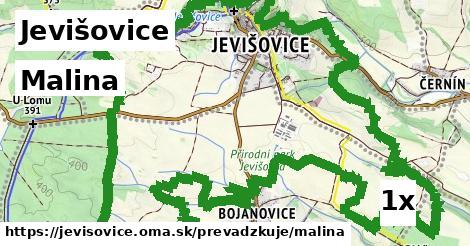 Malina v Jevišovice