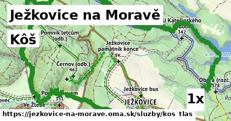 Kôš, Ježkovice na Moravě