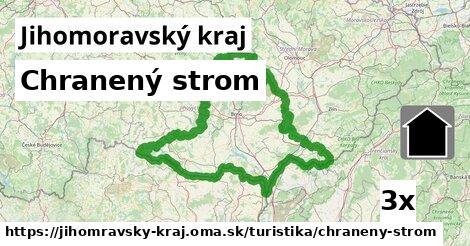 Chranený strom, Jihomoravský kraj