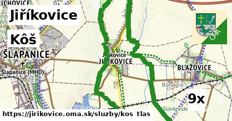 Kôš, Jiříkovice