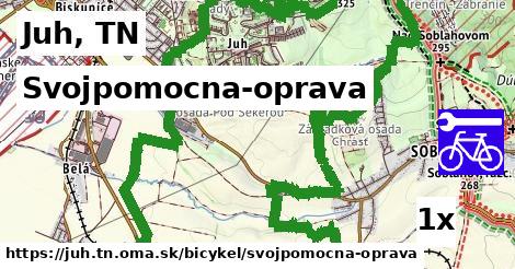 Svojpomocna-oprava, Juh, TN