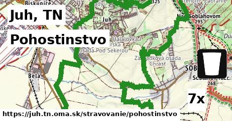 Pohostinstvo, Juh, TN