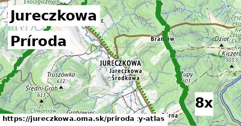 príroda v Jureczkowa