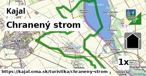 Chranený strom, Kajal