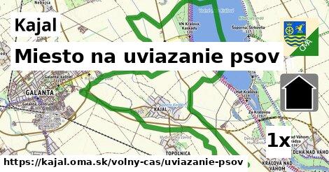 Miesto na uviazanie psov, Kajal