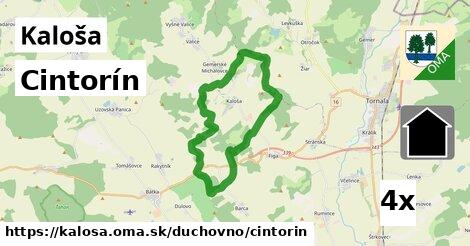 Cintorín, Kaloša