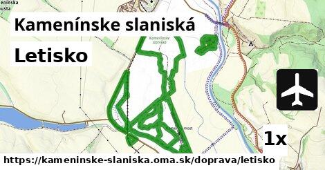 Letisko, Kamenínske slaniská