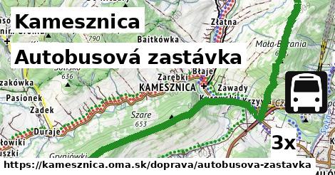 Autobusová zastávka, Kamesznica