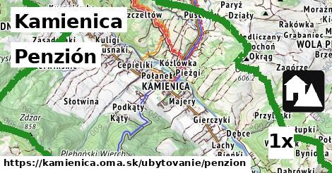 Penzión, Kamienica