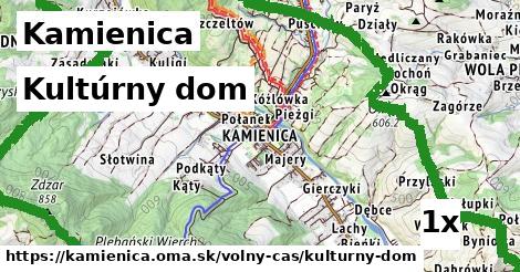 Kultúrny dom, Kamienica