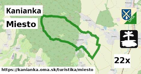 Miesto, Kanianka