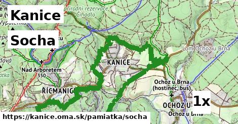 Socha, Kanice