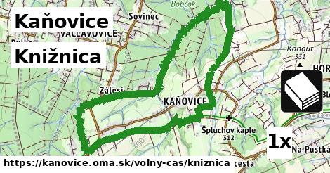 Knižnica, Kaňovice