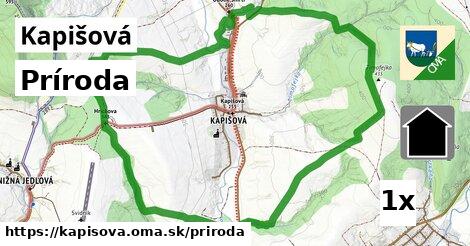 príroda v Kapišová