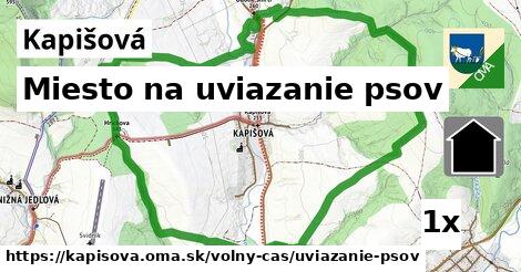 Miesto na uviazanie psov, Kapišová