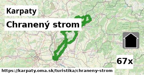 Chranený strom, Karpaty