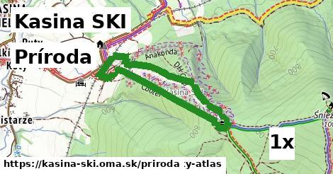 príroda v Kasina SKI